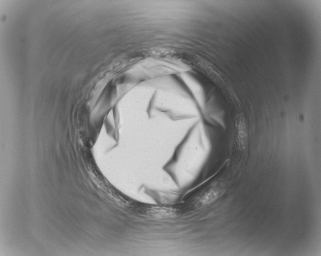 X0000051270617200507152243