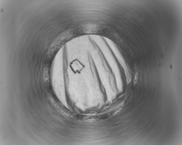 X0000051270620200507152243