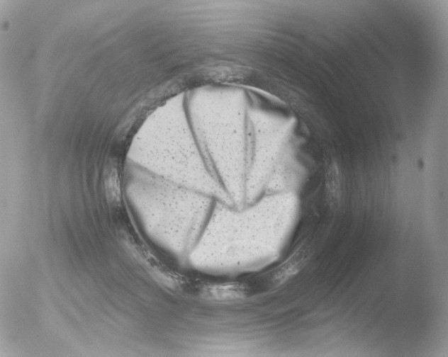 X0000051270622200507152243