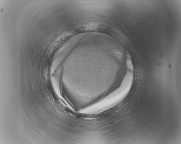 X0000051270648200507152243