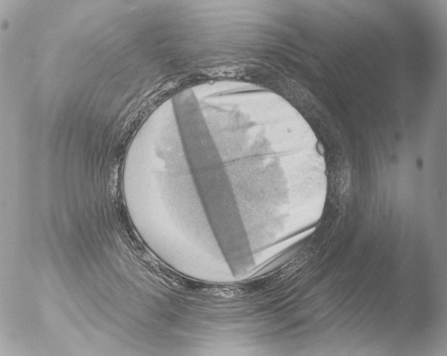 X0000051270652200507152243