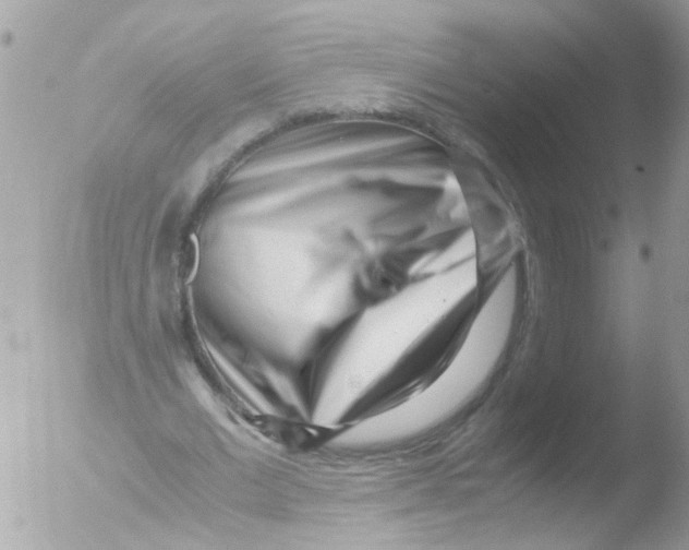X0000051270677200507152242
