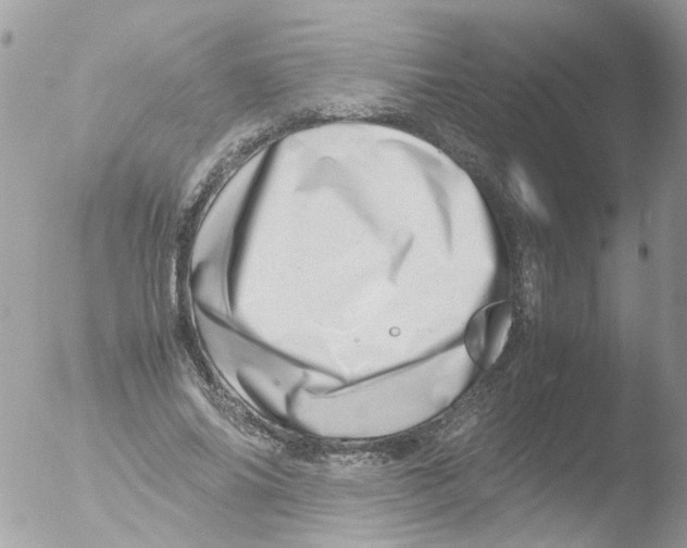 X0000051270686200507152242