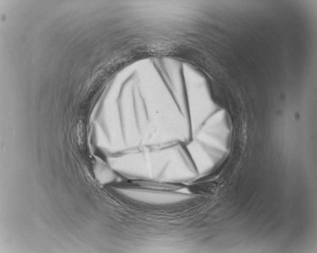 X0000051270689200507152242