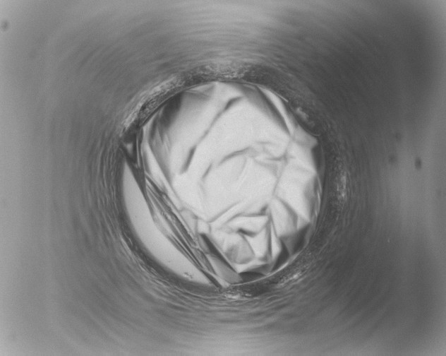 X0000051270693200507152242