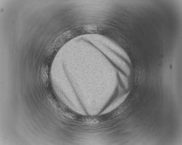 X0000051270702200507152242