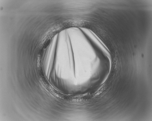 X0000051270744200507152241