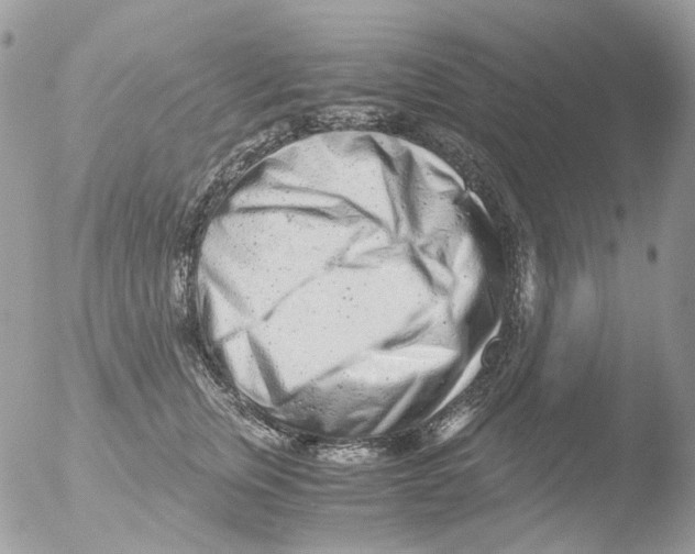 X0000051270759200507152241