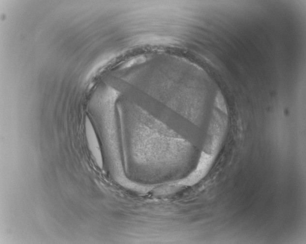 X0000051270775200507152241
