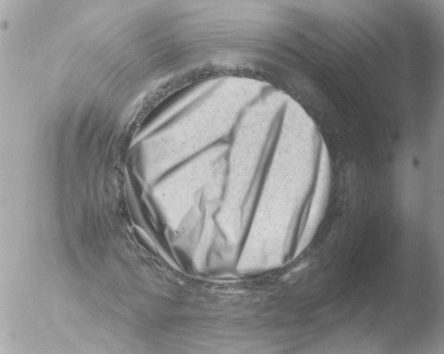 X0000051270776200507152241