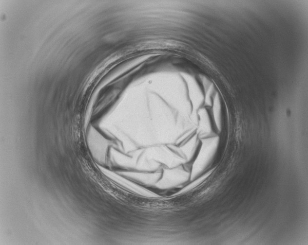 X0000051270786200507152241