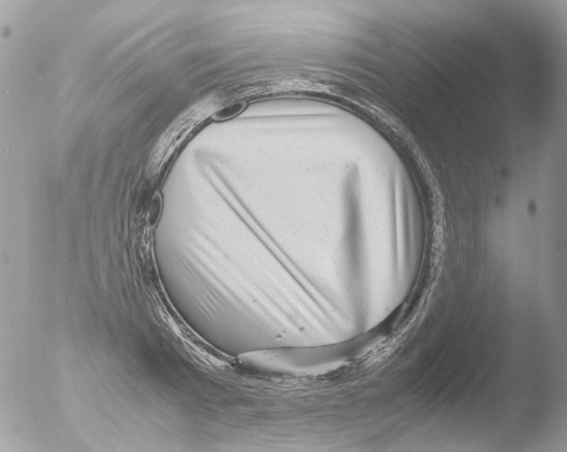 X0000051270793200507152240