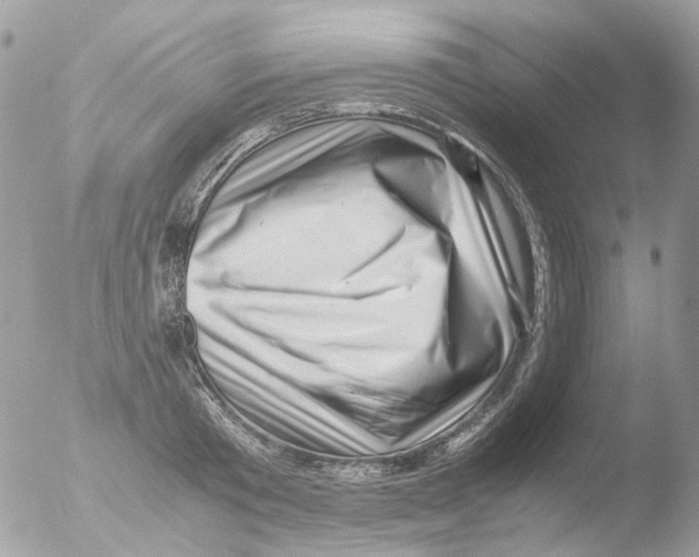 X0000051270801200507152240