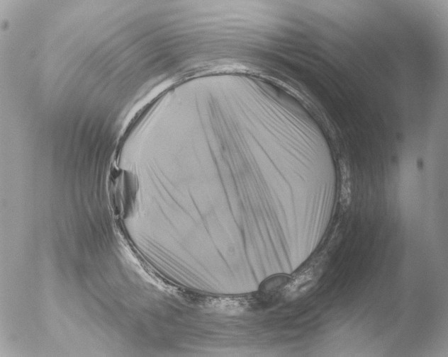 X0000051270806200507152240