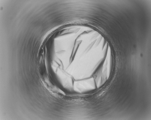 X0000051270838200507152240