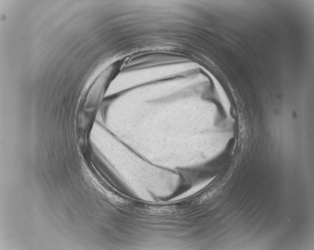 X0000051270843200507152240