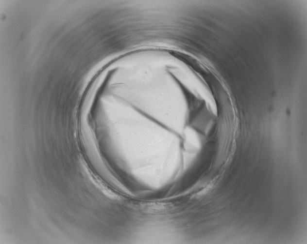 X0000051270862200507152240