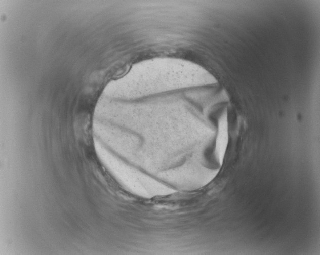 X0000051270867200507152239