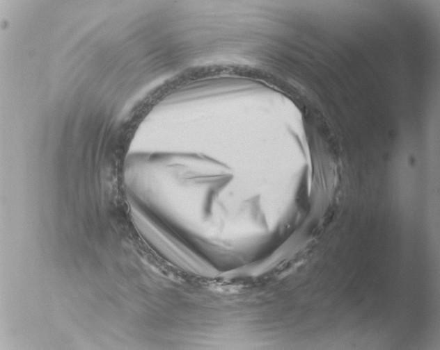X0000051270872200507152239