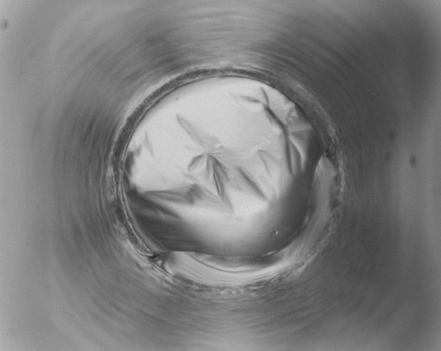 X0000051270876200507152239