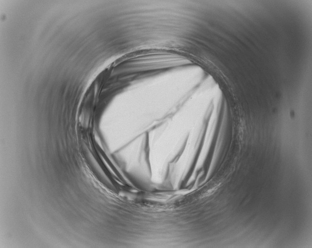 X0000051270884200507152239