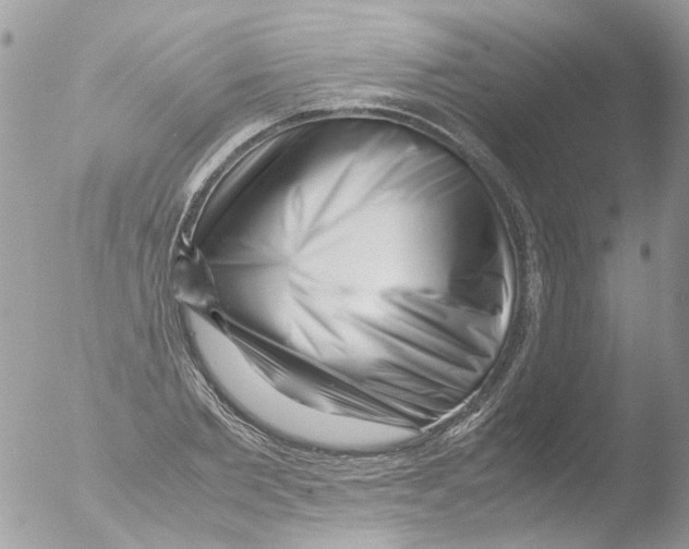 X0000051270885200507152239