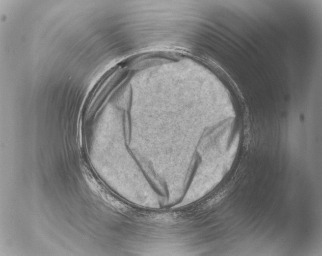 X0000051270892200507152239