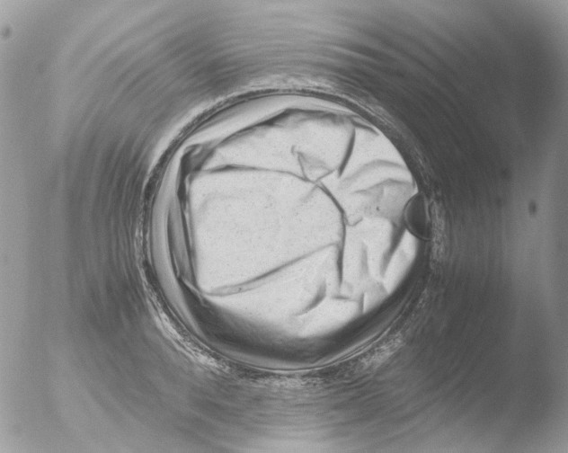 X0000051270896200507152239