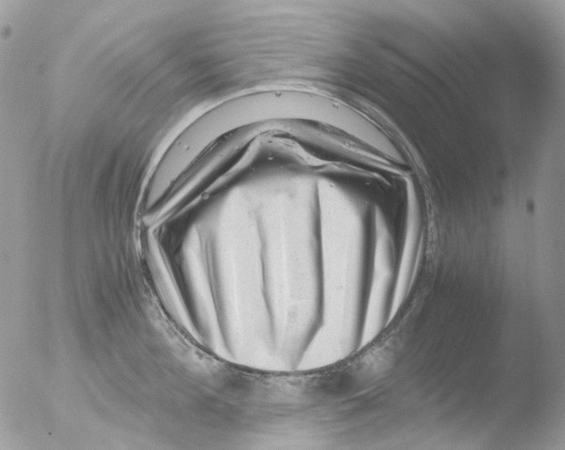 X0000051270908200507152238