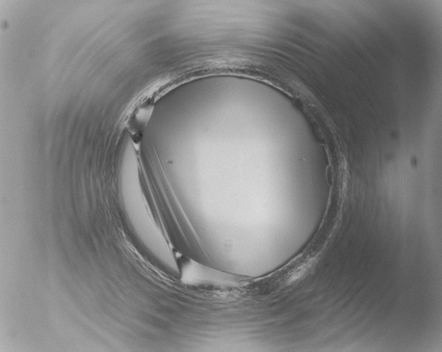 X0000051270930200507152238