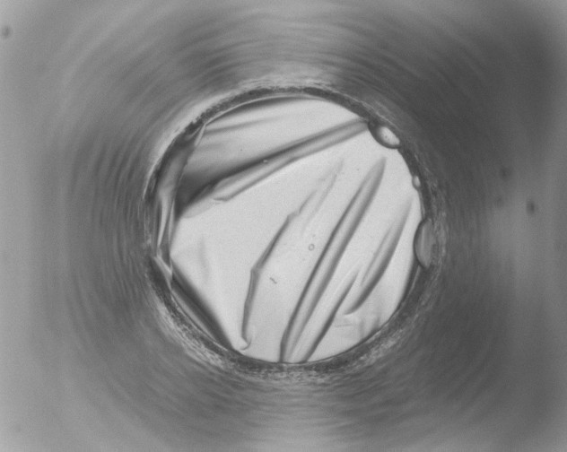 X0000051270934200507152238