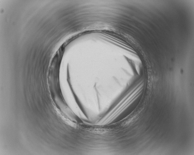 X0000051270942200507152238