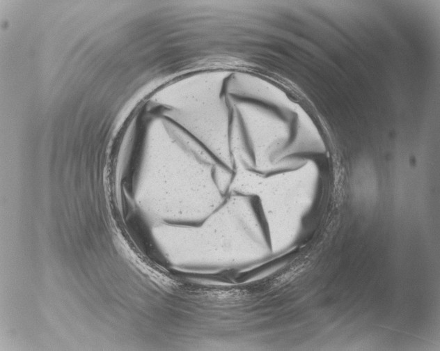 X0000051270947200507152238