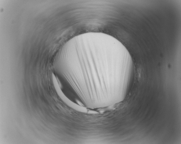 X0000051270964200507152238