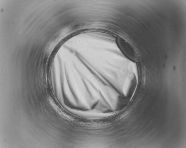 X0000051270980200507152237