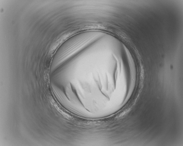X0000051270985200507152237