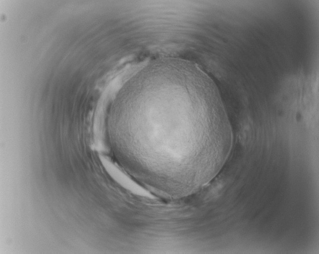 X0000051271010200507152236