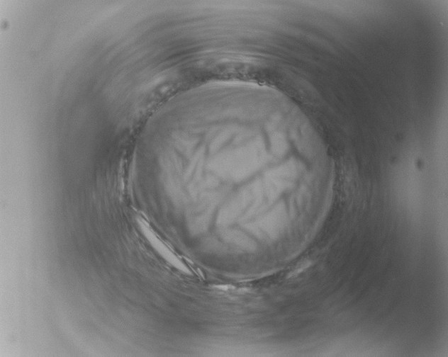 X0000051271013200507152236