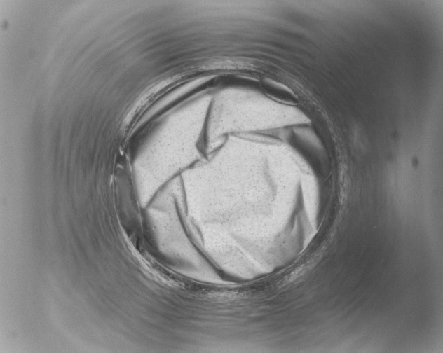 X0000051271033200507152236