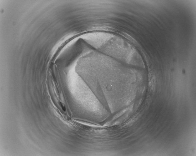 X0000051271043200507152237