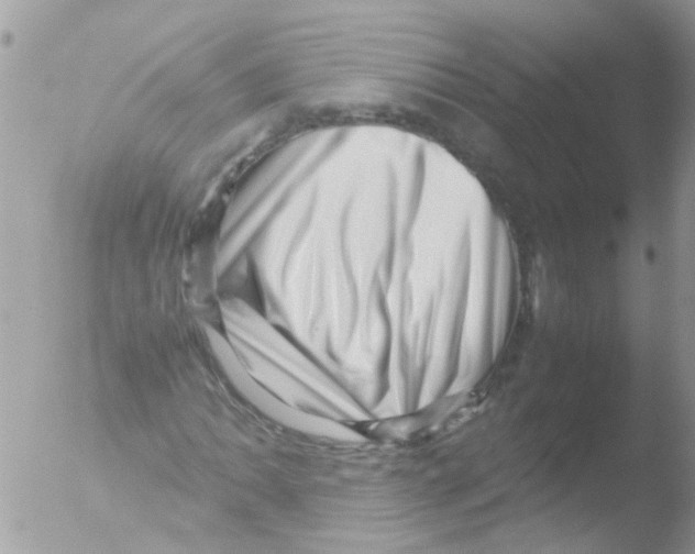 X0000051271062200507152236