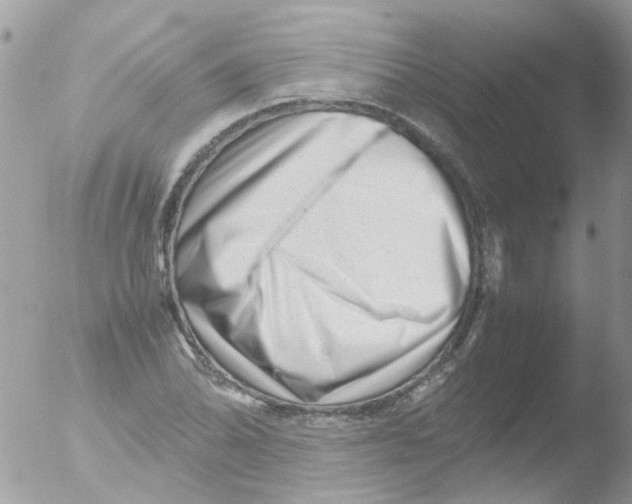 X0000051271070200507152236