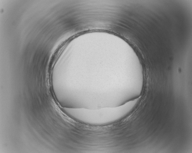 X0000051271072200507152236