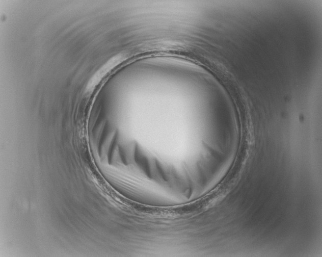 X0000051271073200507152236