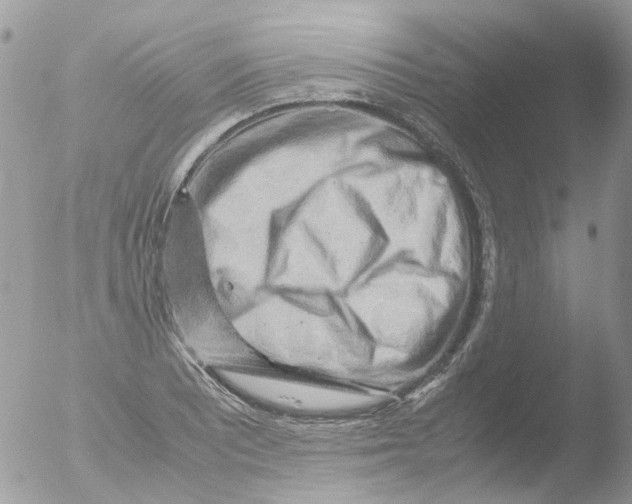 X0000051271081200507152236