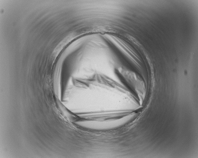 X0000051271089200507152235