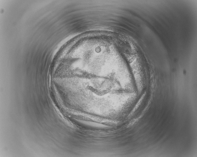 X0000051271125200507152235