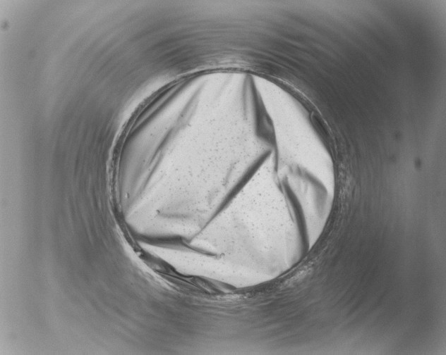 X0000051271135200507152235