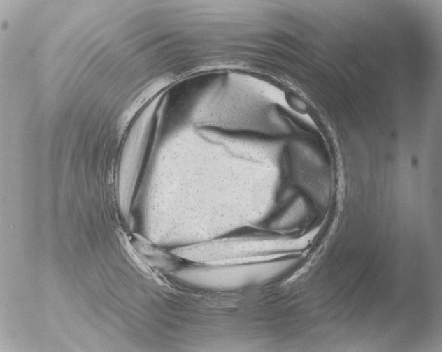 X0000051271137200507152235
