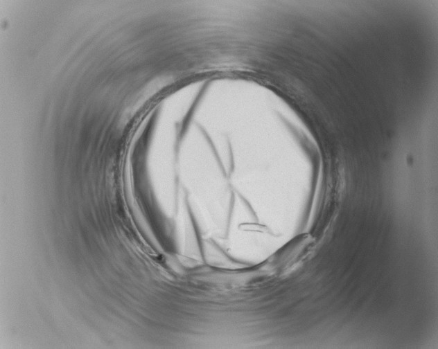 X0000051271162200507152234
